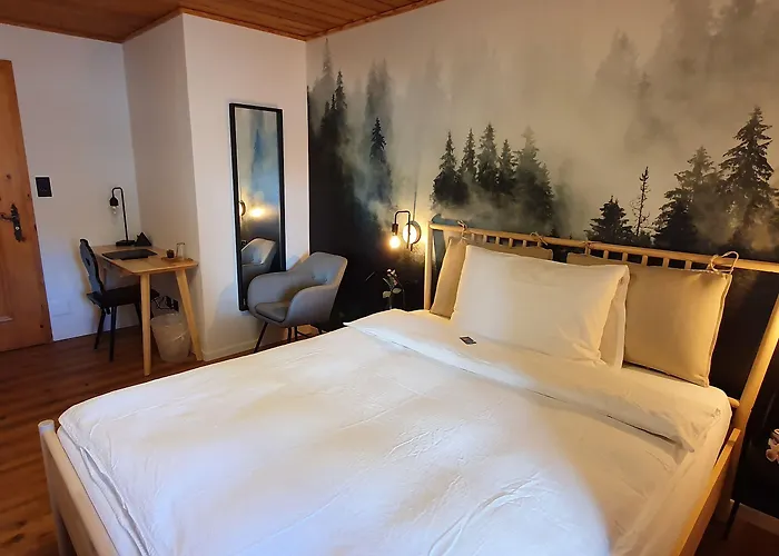 Otel Schorta's Alvetern - Boutique 3*