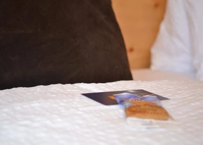 Schorta's Alvetern - Boutique Otel 3*