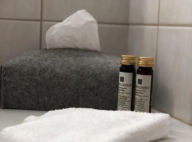 Schorta's Alvetern - Boutique Otel Ardez