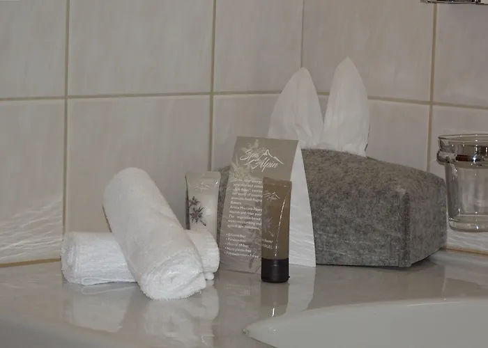 Hotel Schorta's Alvetern - Boutique 3*