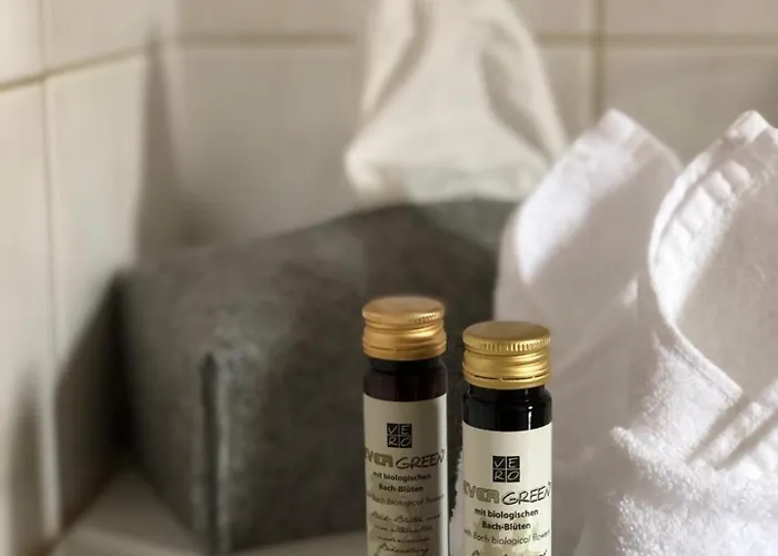 Schorta's Alvetern - Boutique 3* Ardez